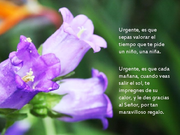 Urgente, es que sepas valorar el tiempo que te pide un niño, una niña.