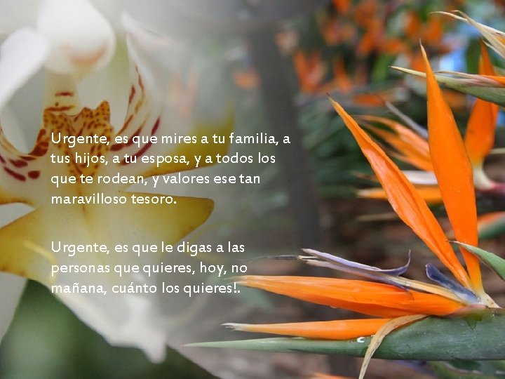 Urgente, es que mires a tu familia, a tus hijos, a tu esposa, y
