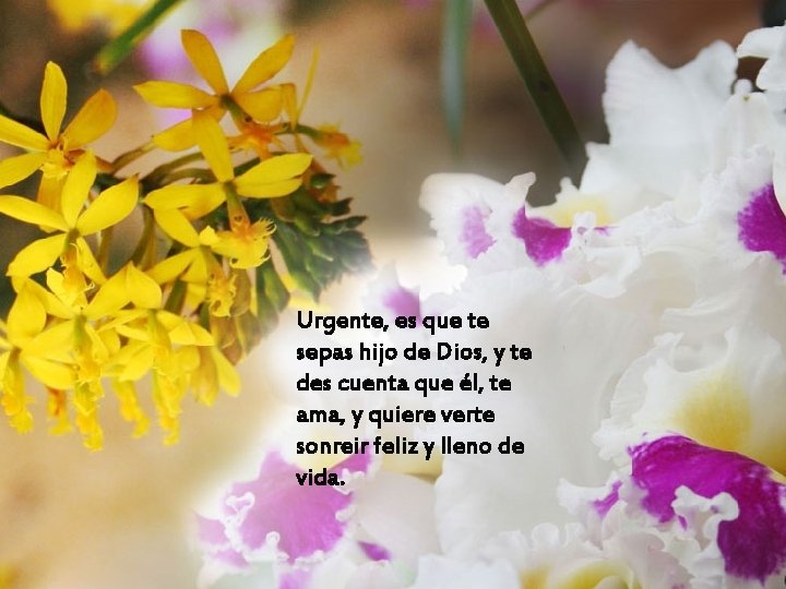 Urgente, es que te sepas hijo de Dios, y te des cuenta que él,
