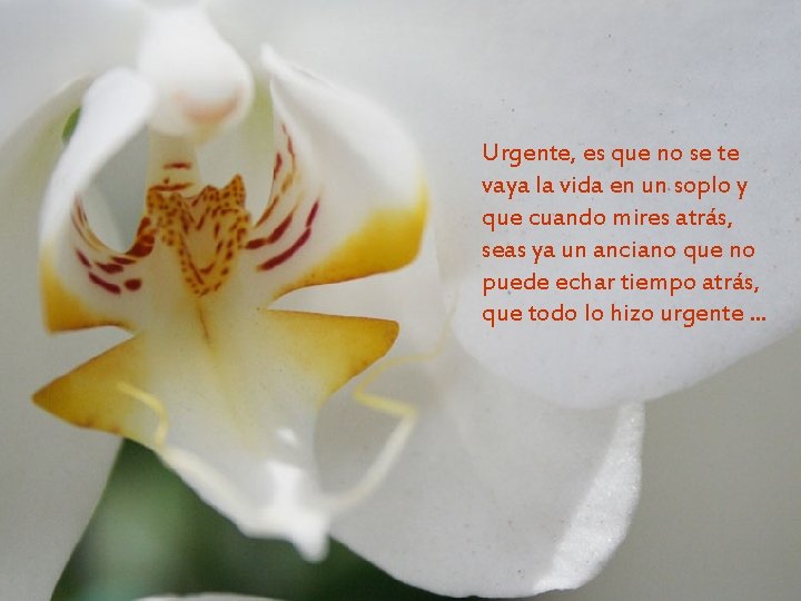 Urgente, es que no se te vaya la vida en un soplo y que