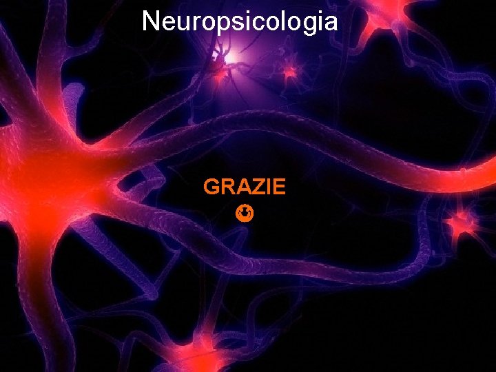 Neuropsicologia GRAZIE 