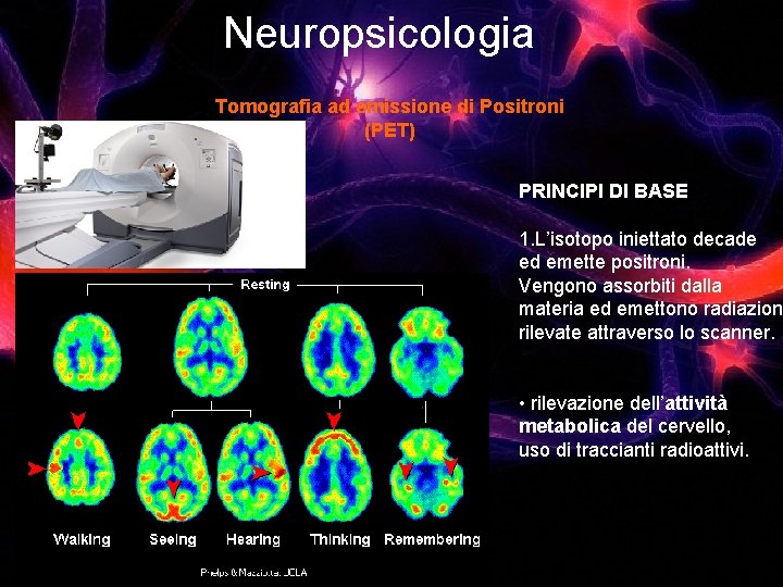 Neuropsicologia Tomografia ad emissione di Positroni (PET) PRINCIPI DI BASE 1. L’isotopo iniettato decade