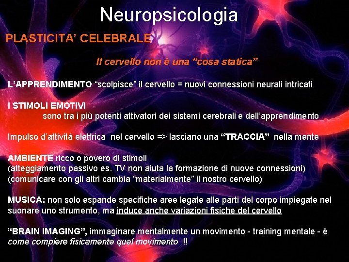 Neuropsicologia PLASTICITA’ CELEBRALE Il cervello non è una “cosa statica” L’APPRENDIMENTO “scolpisce” il cervello Neuropsicologia PLASTICITA’ CELEBRALE Il cervello non è una “cosa statica” L’APPRENDIMENTO “scolpisce” il cervello