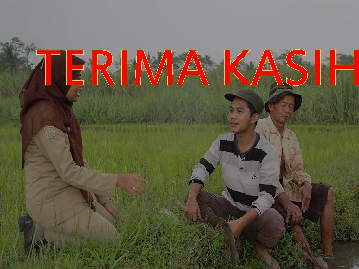 TERIMA KASIH 