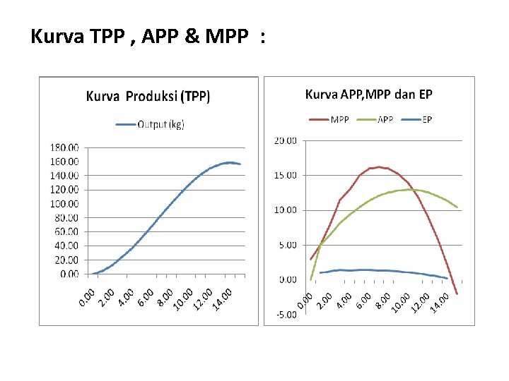 Kurva TPP , APP & MPP : 