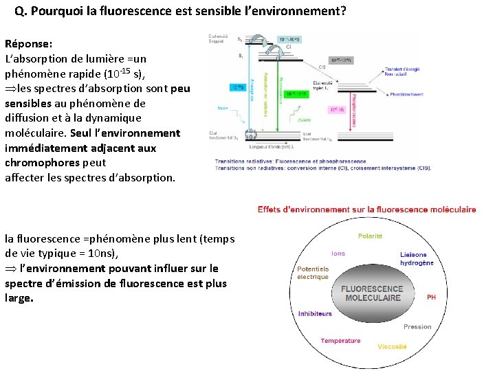 Q. Pourquoi la fluorescence est sensible l’environnement? Réponse: L’absorption de lumière =un phénomène rapide