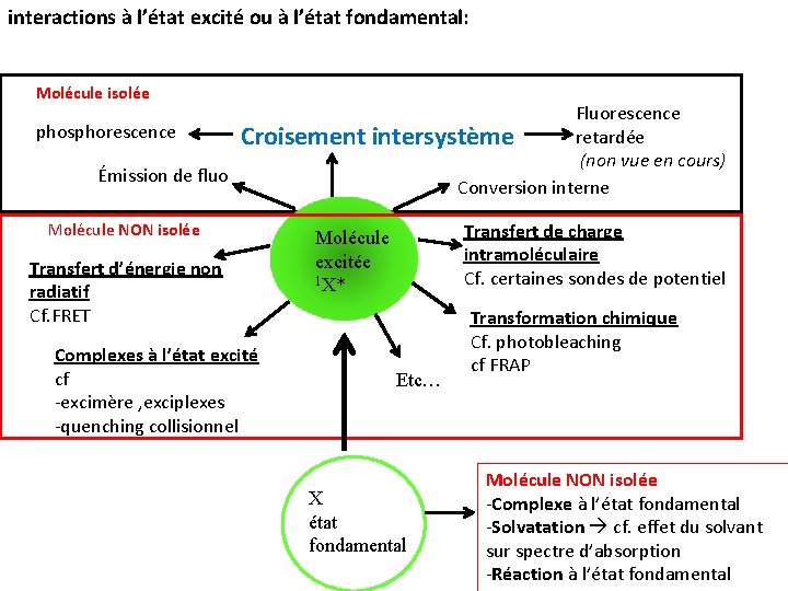 interactions à l’état excité ou à l’état fondamental: Molécule isolée Fluorescence phosphorescence retardée Croisement