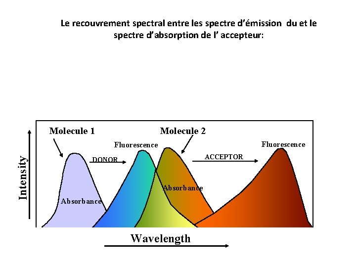 Le recouvrement spectral entre les spectre d’émission du et le spectre d’absorption de l’