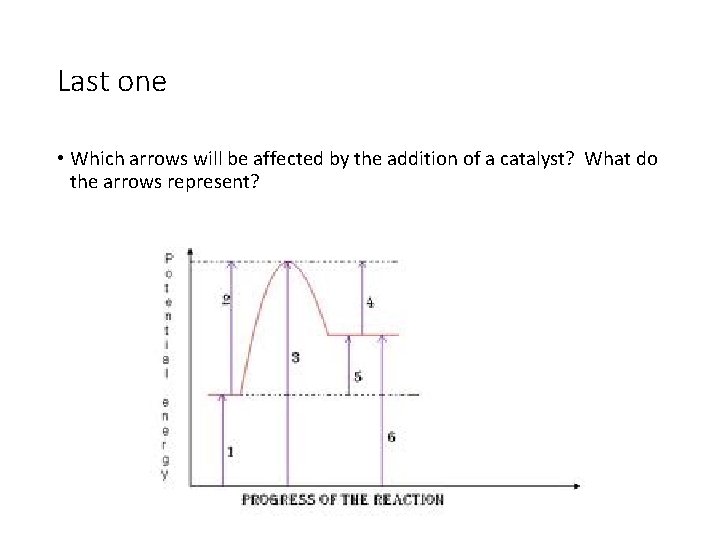 Last one • Which arrows will be affected by the addition of a catalyst?