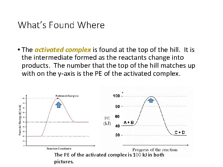 What’s Found Where • The activated complex is found at the top of the