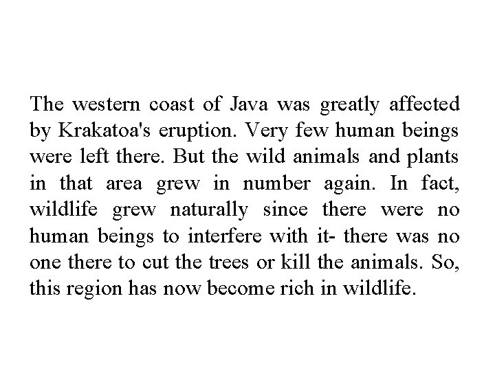 The western coast of Java was greatly affected by Krakatoa's eruption. Very few human