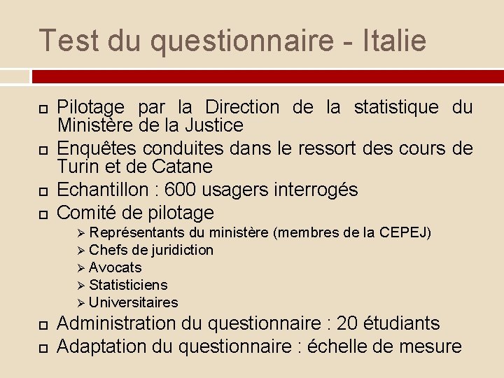 Test du questionnaire - Italie Pilotage par la Direction de la statistique du Ministère