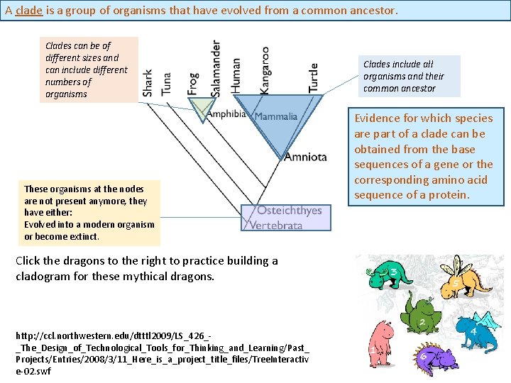 A clade is a group of organisms that have evolved from a common ancestor.