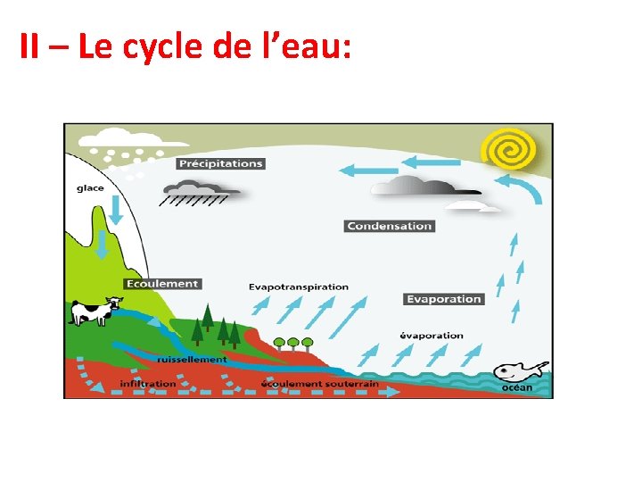 II – Le cycle de l’eau: 