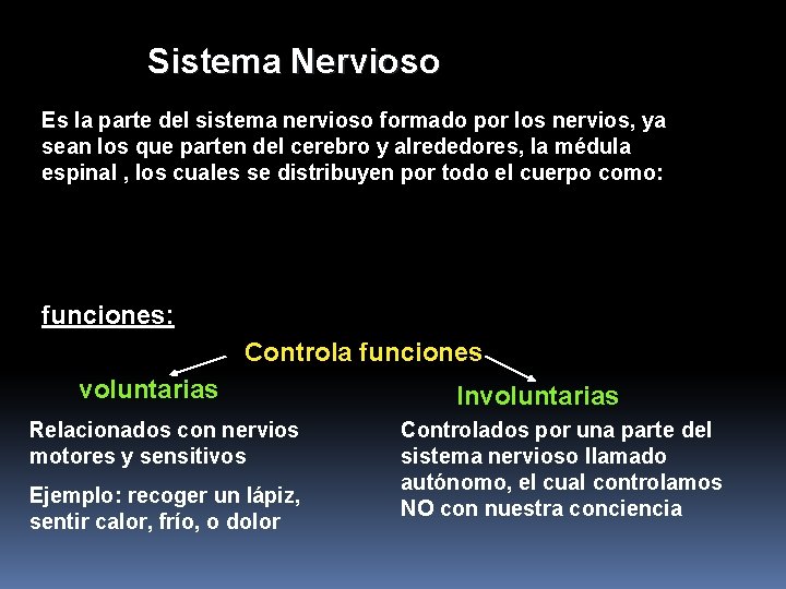 Sistema Nervioso Es la parte del sistema nervioso formado por los nervios, ya sean