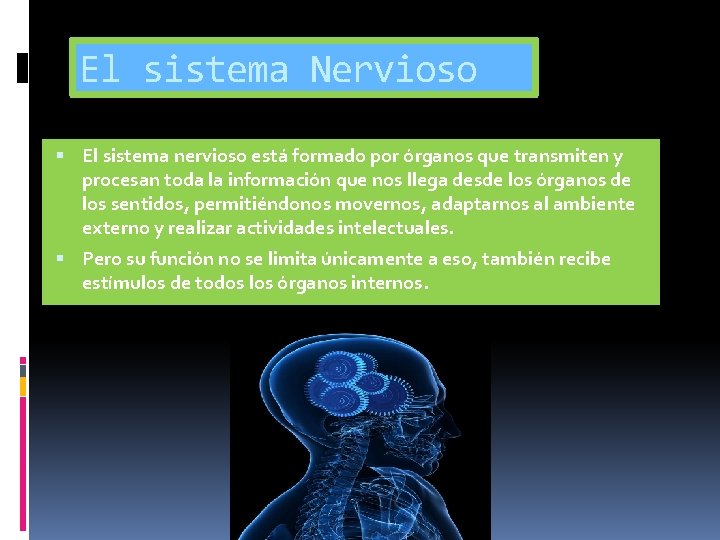 El sistema Nervioso El sistema nervioso está formado por órganos que transmiten y procesan