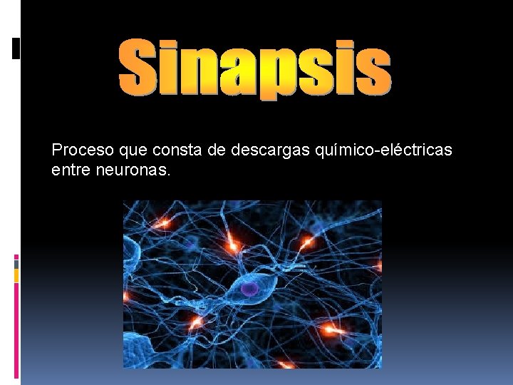 Proceso que consta de descargas químico-eléctricas entre neuronas. 