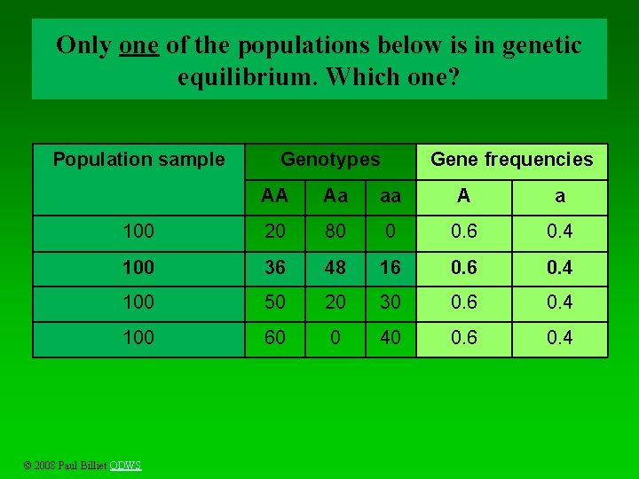 Only one of the populations below is in genetic equilibrium. Which one? Population sample