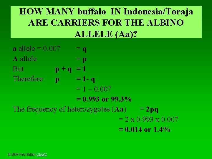 HOW MANY buffalo IN Indonesia/Toraja ARE CARRIERS FOR THE ALBINO ALLELE (Aa)? a allele