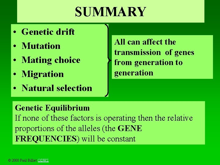 SUMMARY • • • Genetic drift Mutation Mating choice Migration Natural selection All can