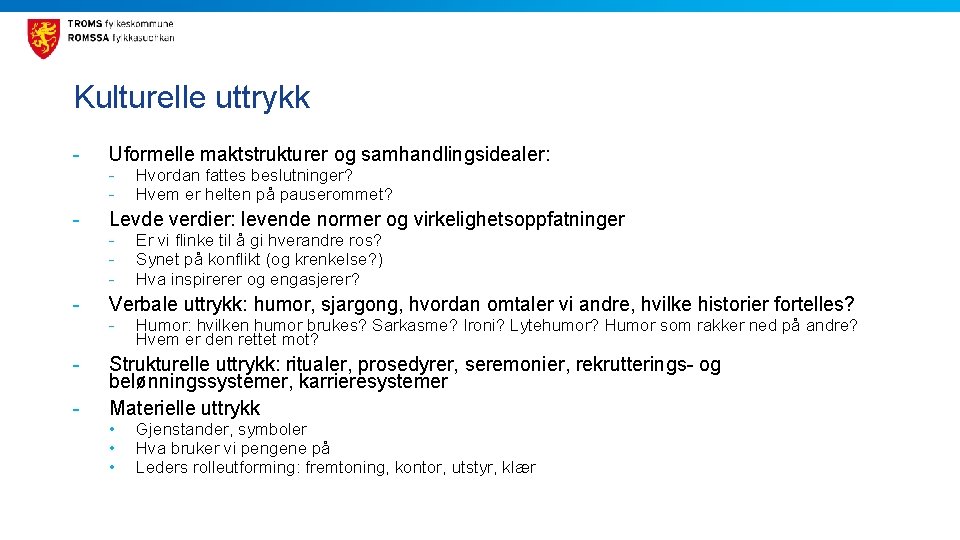 Kulturelle uttrykk - - Uformelle maktstrukturer og samhandlingsidealer: - Hvordan fattes beslutninger? Hvem er