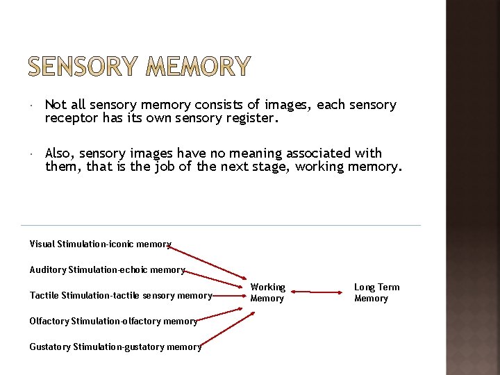  Not all sensory memory consists of images, each sensory receptor has its own