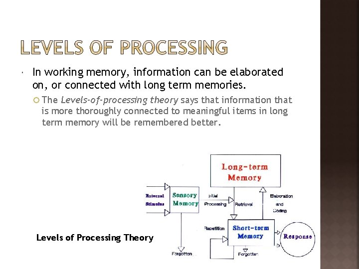  In working memory, information can be elaborated on, or connected with long term