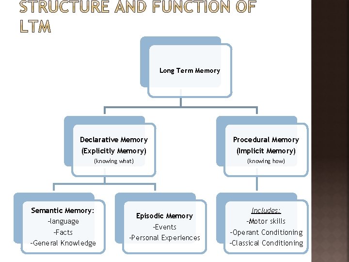 Long Term Memory Declarative Memory (Explicitly Memory) Procedural Memory (Implicit Memory) (knowing what) (knowing