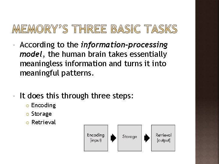  According to the information-processing model, the human brain takes essentially meaningless information and