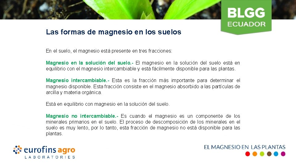 Las formas de magnesio en los suelos En el suelo, el magnesio está presente