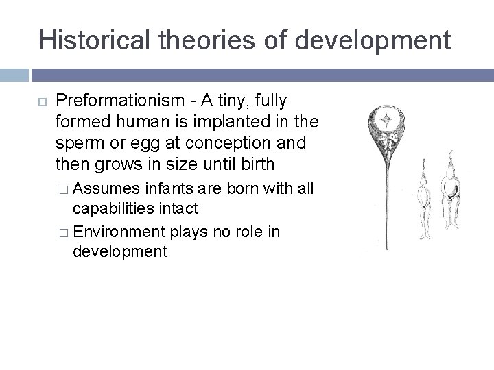 Historical theories of development Preformationism - A tiny, fully formed human is implanted in