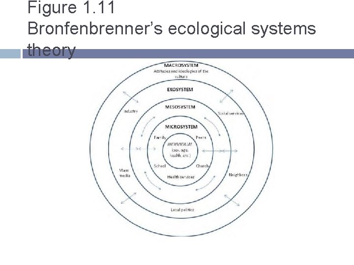 Figure 1. 11 Bronfenbrenner’s ecological systems theory 