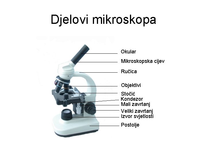 Djelovi mikroskopa Okular Mikroskopska cijev Ručica Objektivi Stočić Kondezor Mali zavrtanj Veliki zavrtanj Izvor