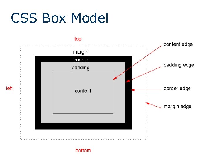 CSS Box Model 