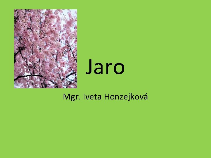Jaro Mgr. Iveta Honzejková 