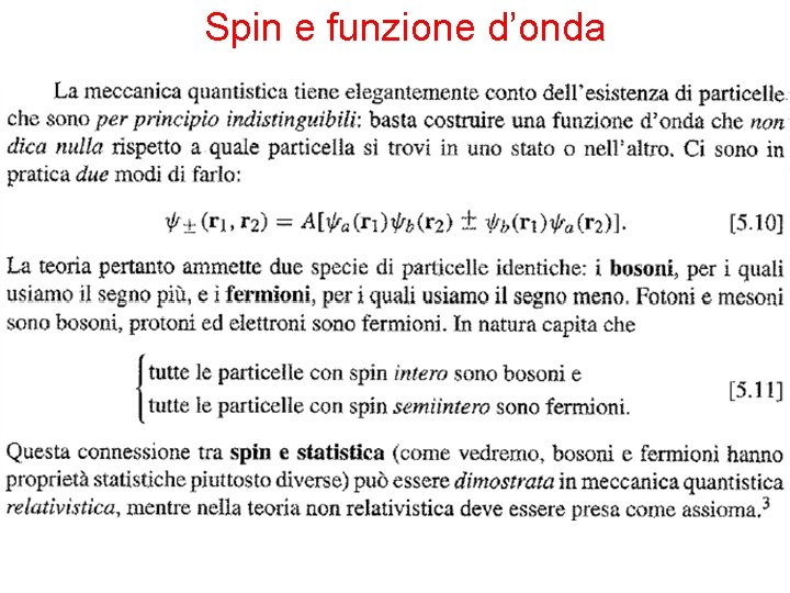 Spin e funzione d’onda 