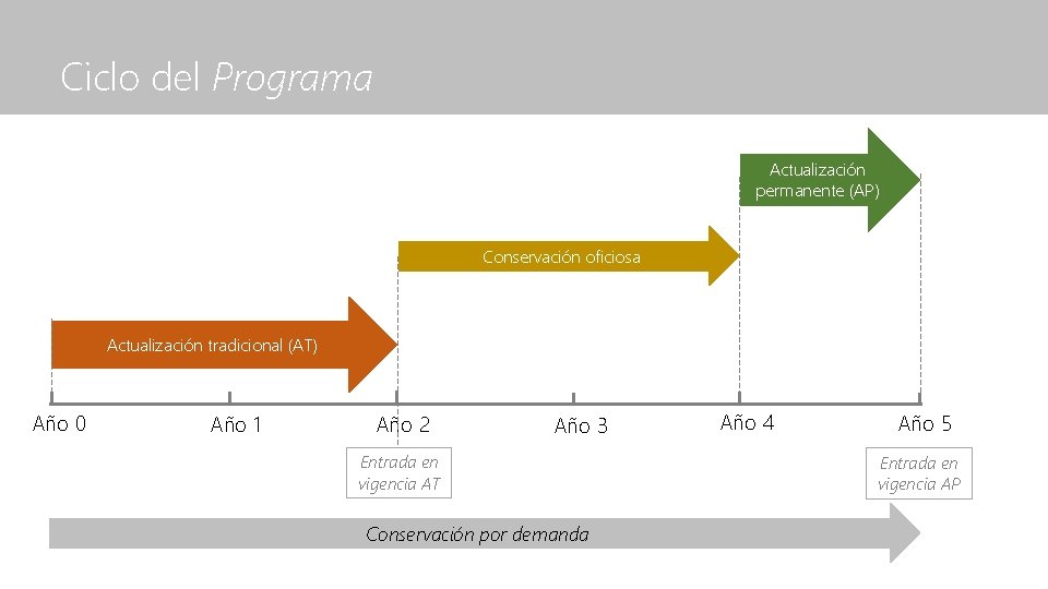 Ciclo del Programa Actualización permanente (AP) Conservación oficiosa Actualización tradicional (AT) Año 0 Año