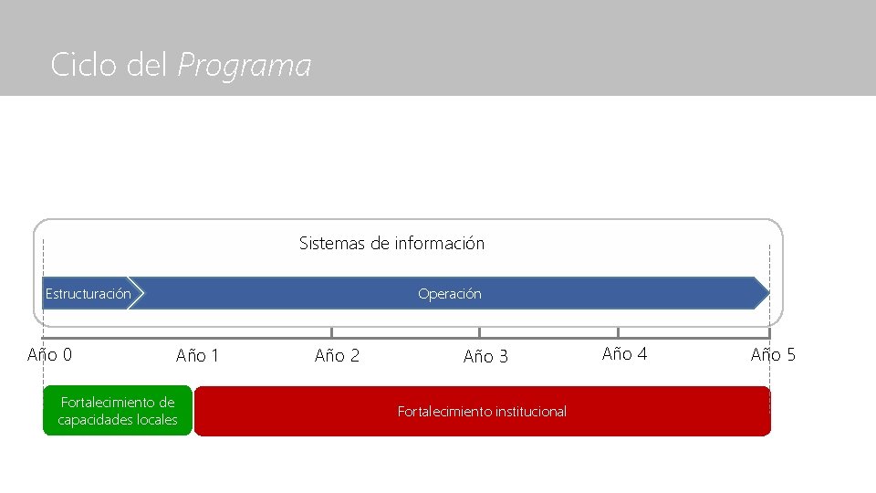 Ciclo del Programa Sistemas de información Estructuración Año 0 Operación Año 1 Fortalecimiento de