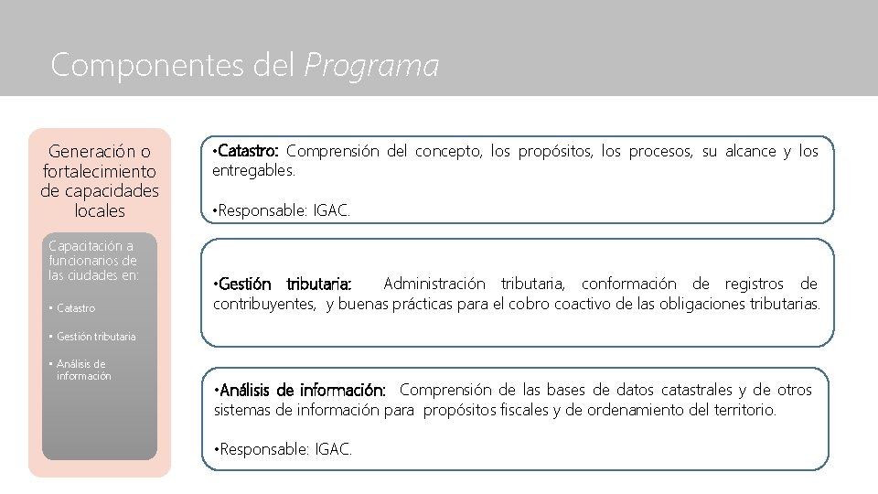 Componentes del Programa Generación o fortalecimiento de capacidades locales Capacitación a funcionarios de las