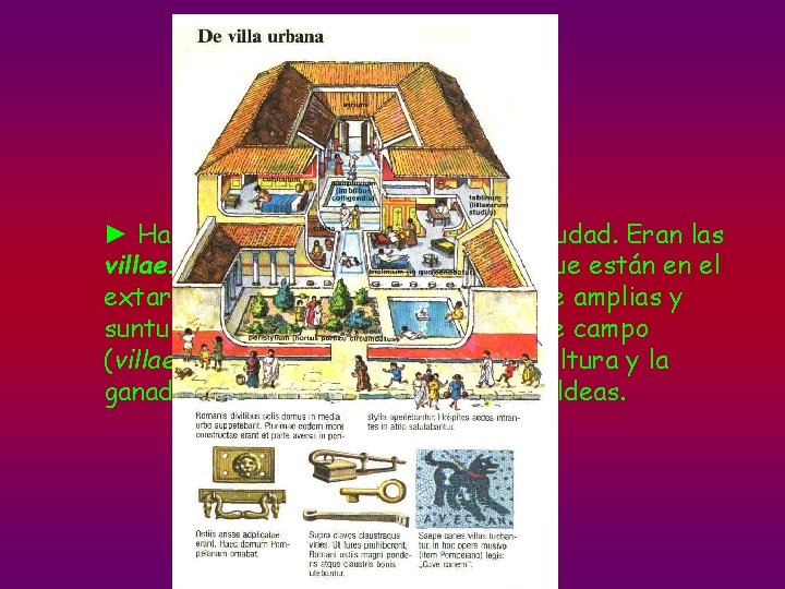 LA CASA ROMANA ► Había también casas fuera de la ciudad. Eran las villae.