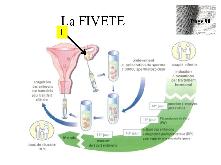 La FIVETE 1 Page 80 La FIVETE 1 Page 80