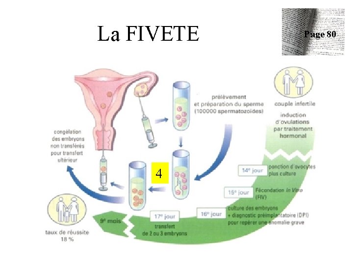 La FIVETE 4 Page 80 La FIVETE 4 Page 80