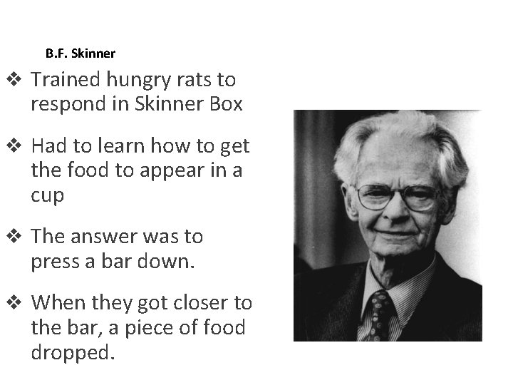 B. F. Skinner v Trained hungry rats to respond in Skinner Box v Had B. F. Skinner v Trained hungry rats to respond in Skinner Box v Had