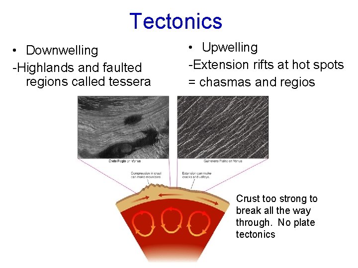 Tectonics • Downwelling -Highlands and faulted regions called tessera • Upwelling -Extension rifts at