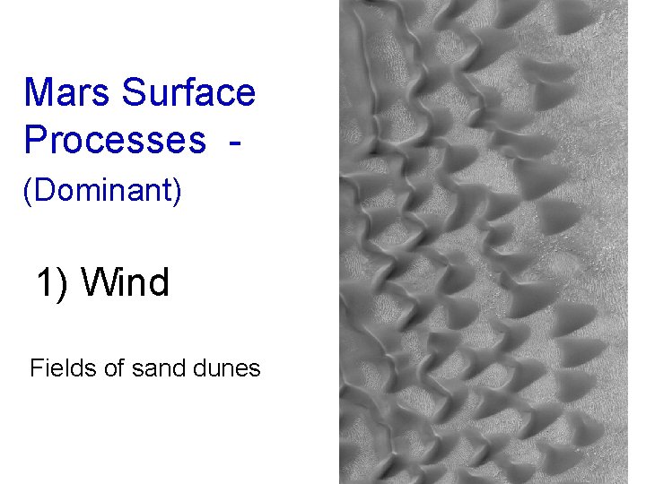 Mars Surface Processes (Dominant) 1) Wind Fields of sand dunes 