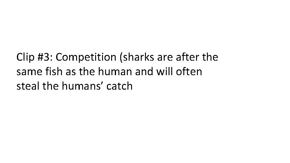 Clip #3: Competition (sharks are after the same fish as the human and will