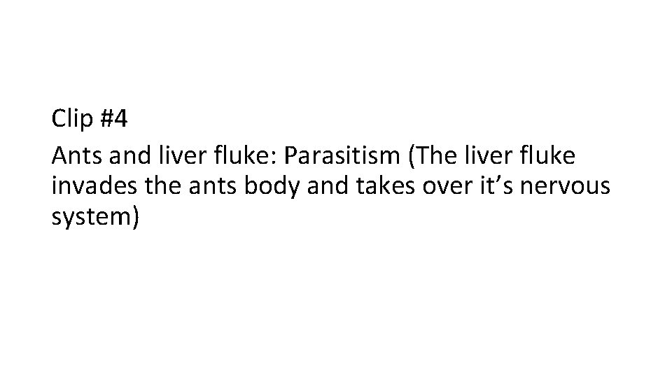 Clip #4 Ants and liver fluke: Parasitism (The liver fluke invades the ants body