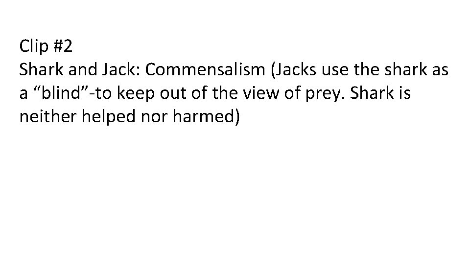 Clip #2 Shark and Jack: Commensalism (Jacks use the shark as a “blind”-to keep