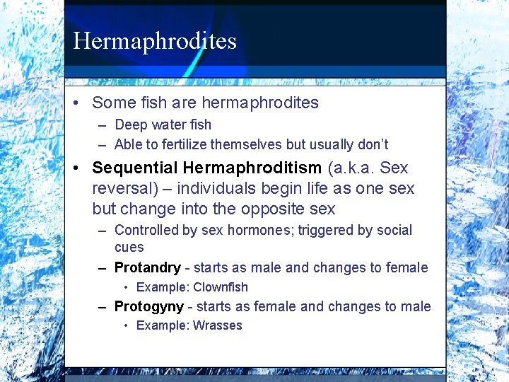 Hermaphrodites • Some fish are hermaphrodites – Deep water fish – Able to fertilize