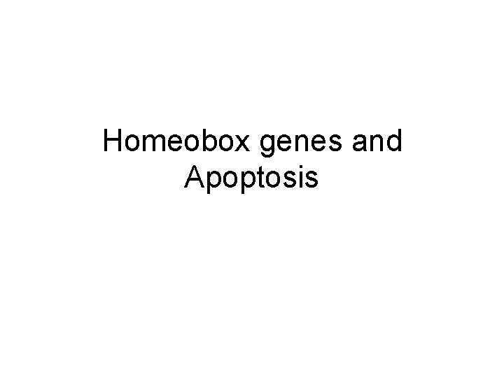 Homeobox genes and Apoptosis 